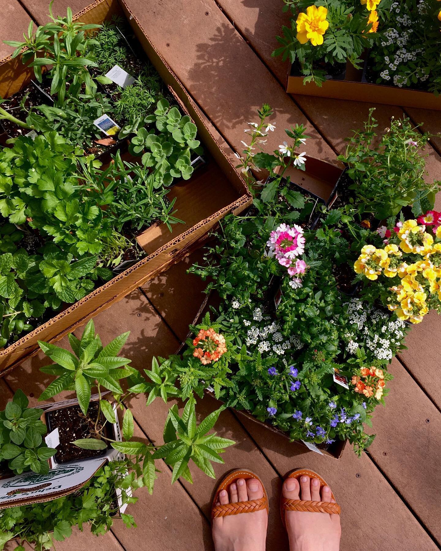 It&rsquo;s this time of the year again! Farmers markets, flowers, herbs and veggies, and hands in the dirt 💛