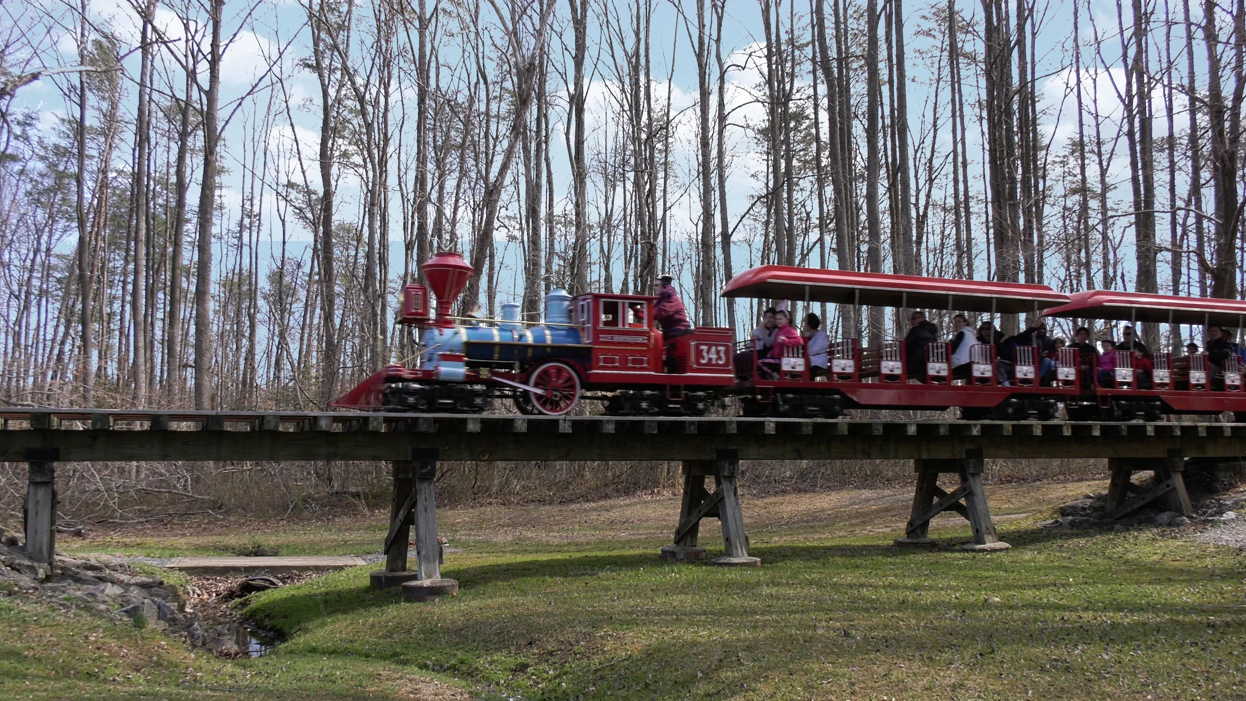 The Burke Lake Park Train