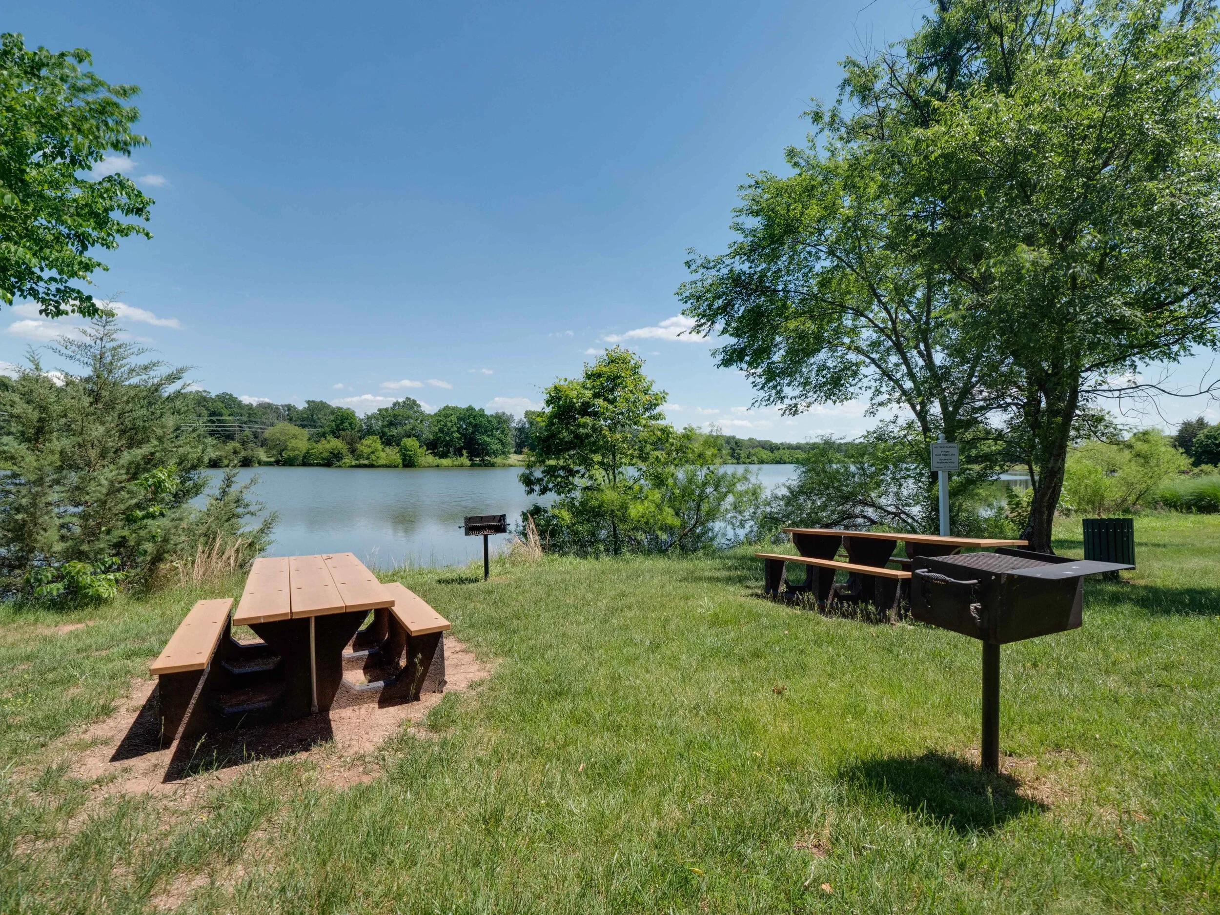 63 - Picnic.jpg