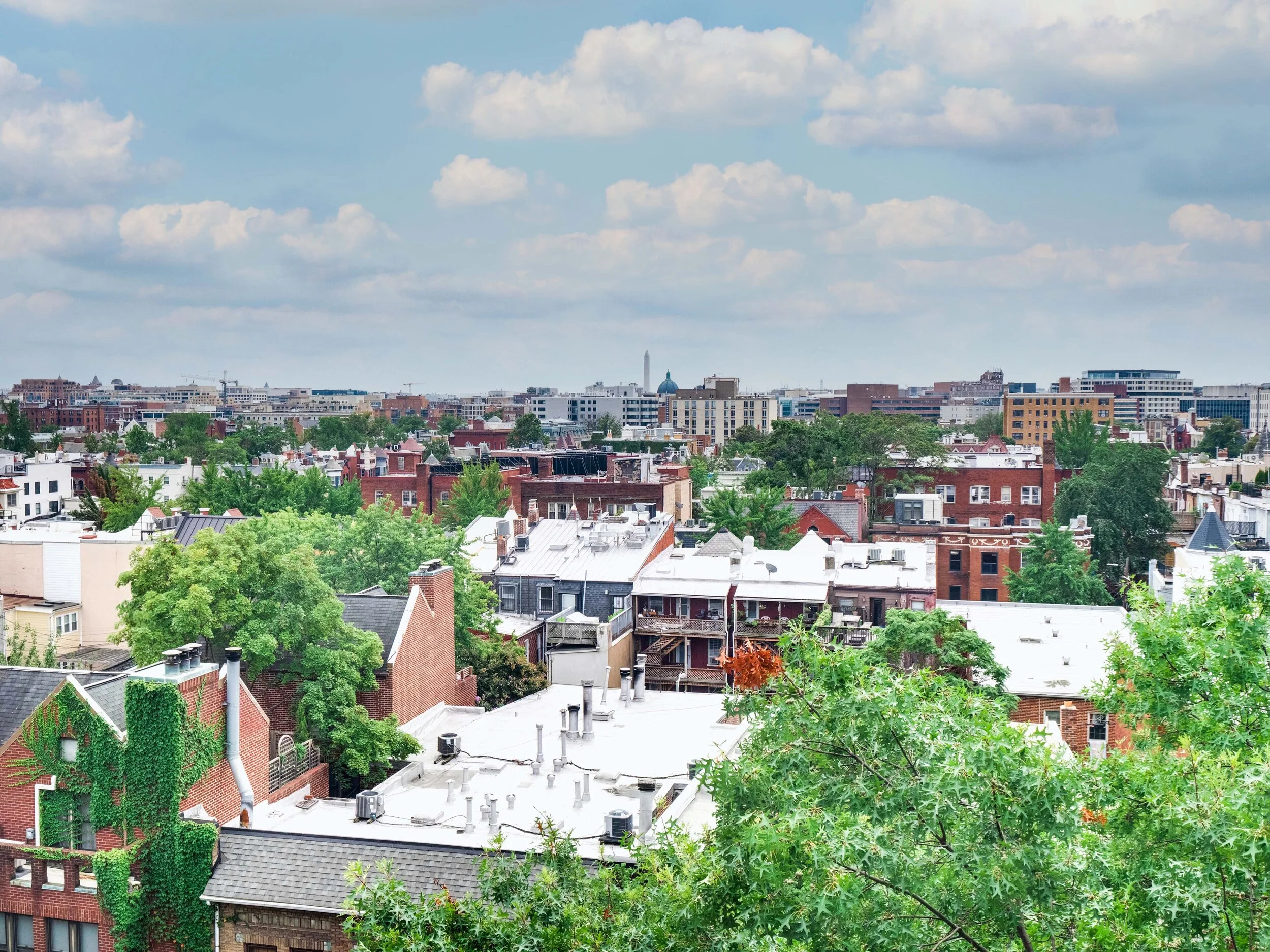 Monument View (Wide).jpg