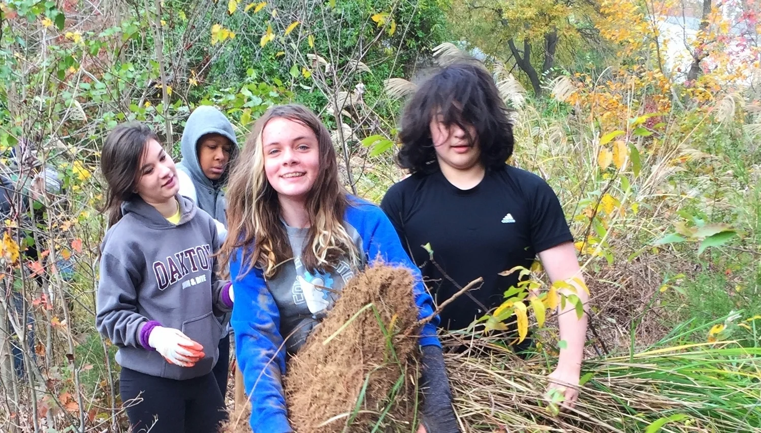 THE YIN & YANG OF PLANTING & PULLING