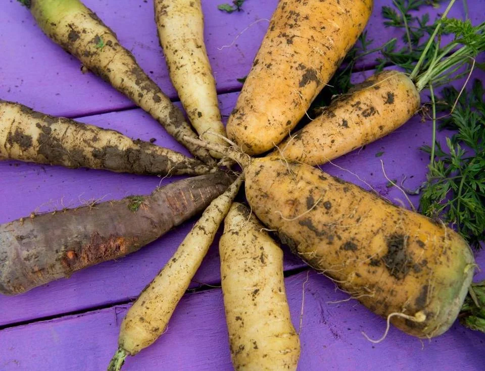 Alumn, Fred Blum, Living GWCS Values