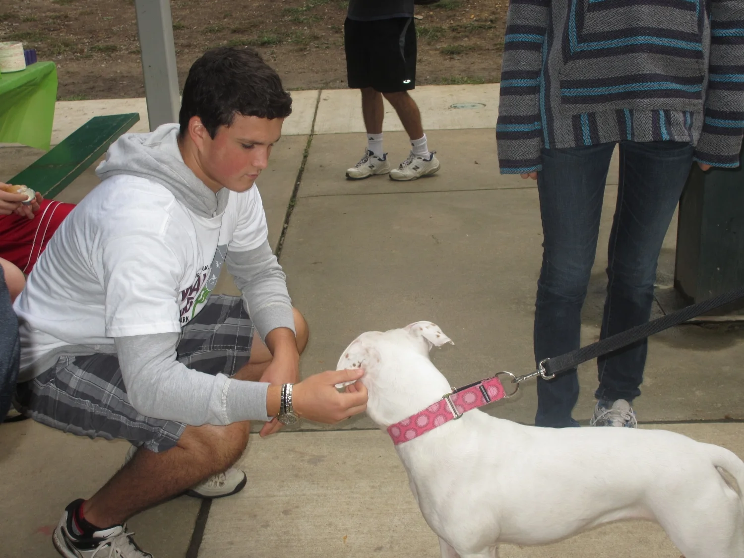 Walk For Paws 9.jpg