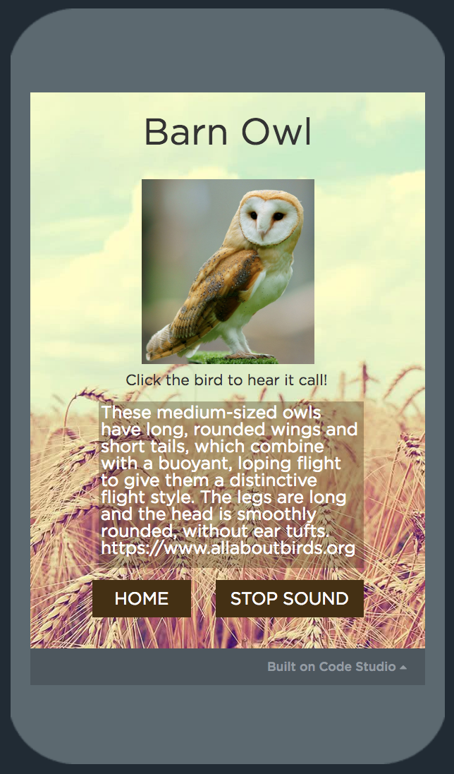 Screen Shot 2018-02-07 at 5.19.55 PM.png