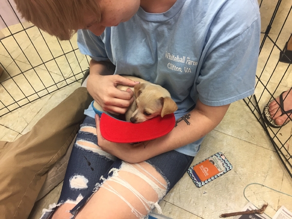 laura and puppy.jpg