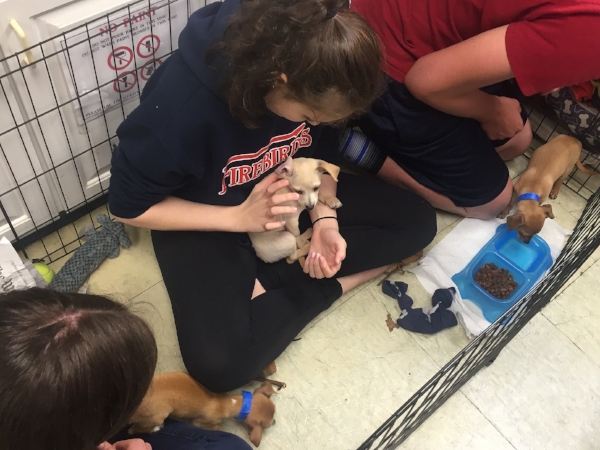 puppies and kids in crate2.jpg