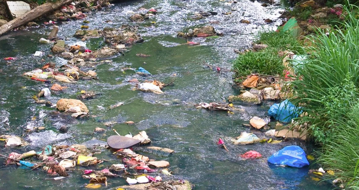 Stream Cleanup Community Service