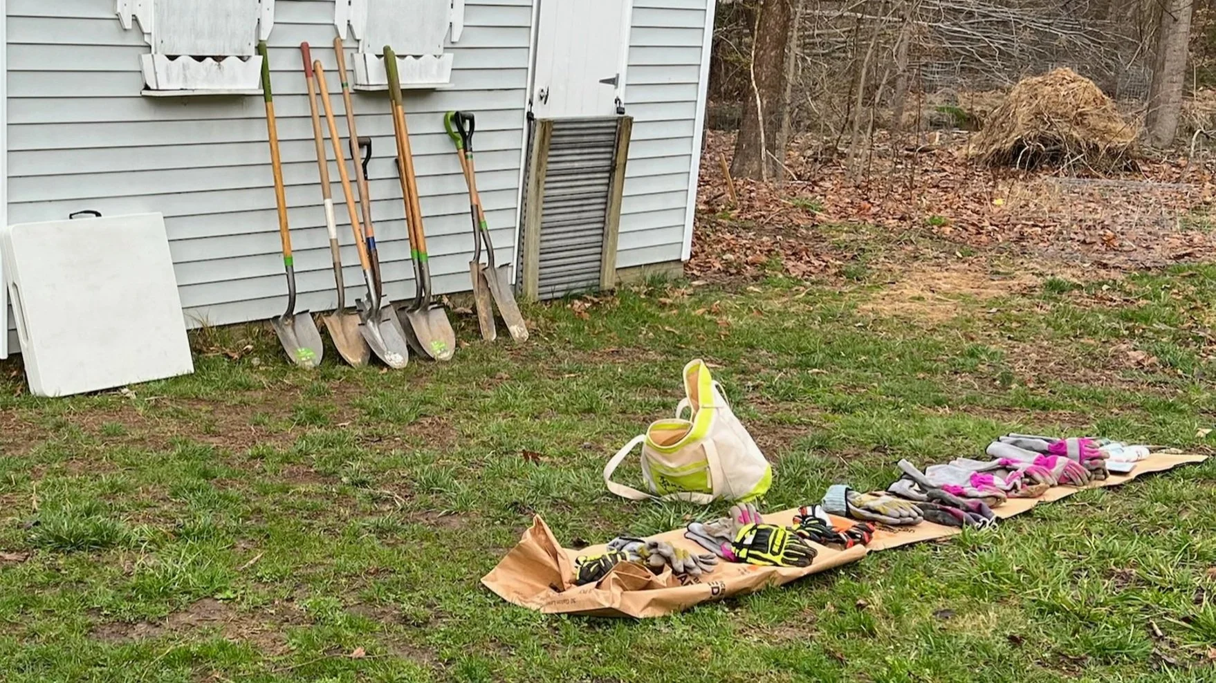 Lake Accotink Restoration Project