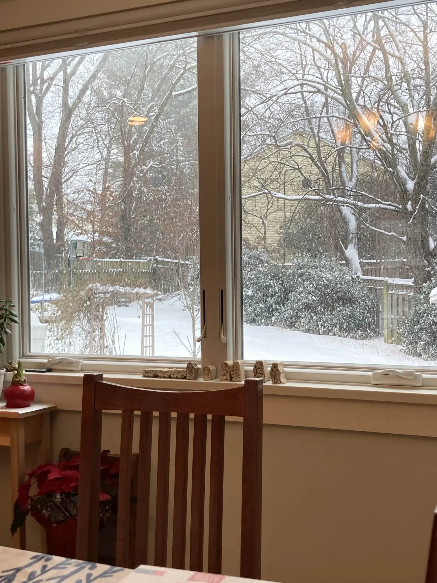 Naomi's view of the snow.
