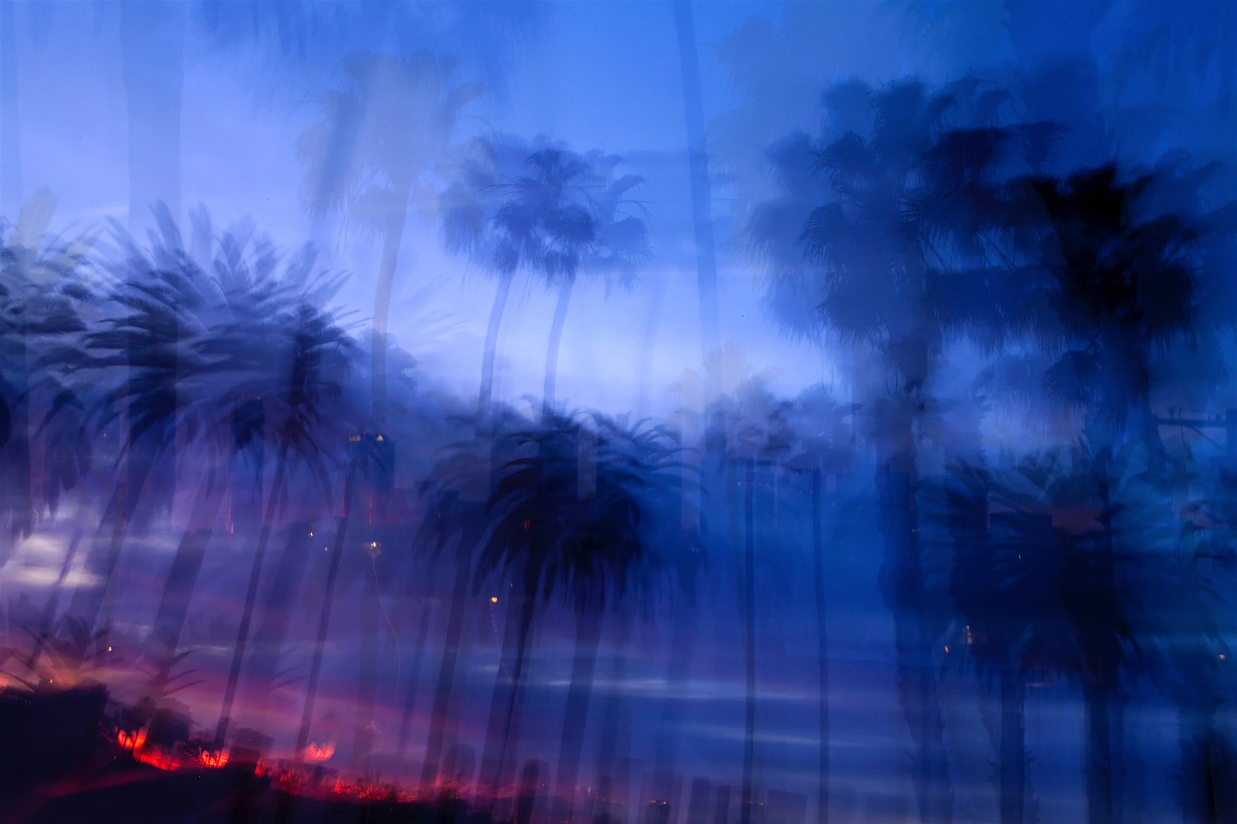 palms-sunset-BH-2.jpg
