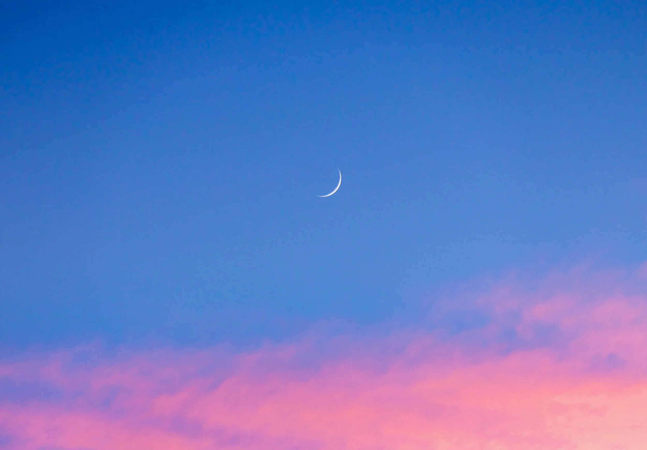 Nizzani-Photography-Personal-1.jpg