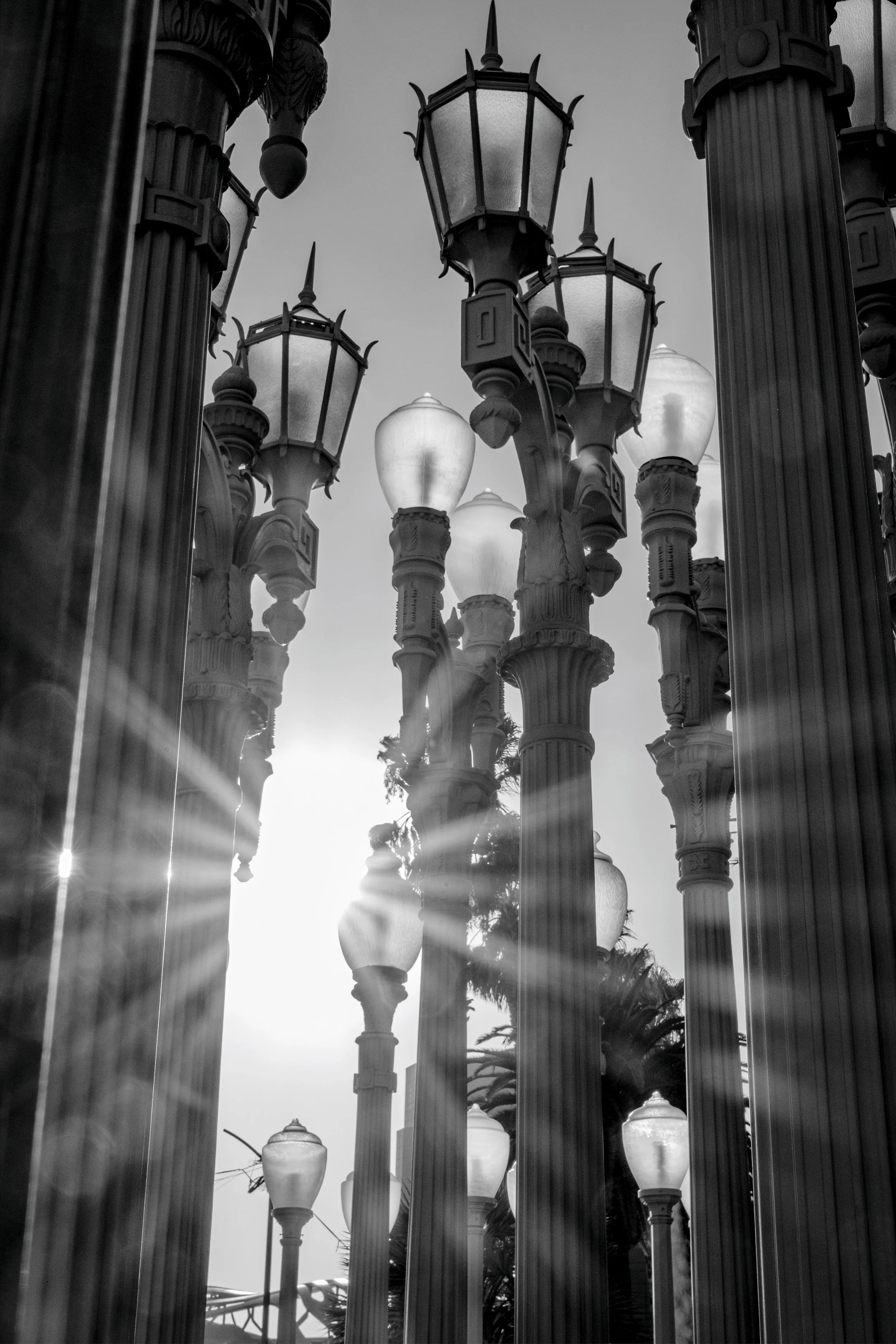 Nizzani-Photography-Personal-10.jpg