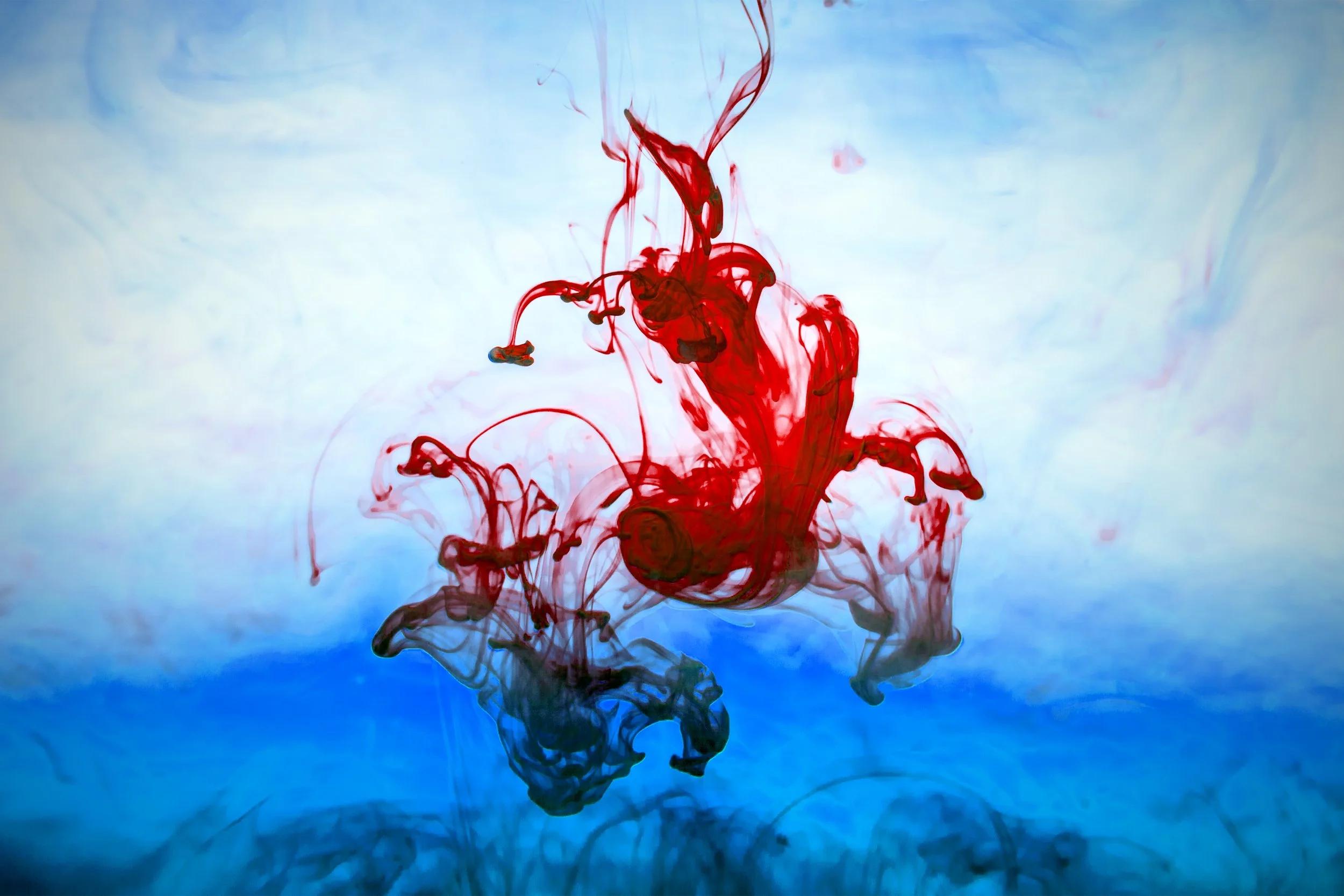 Nizzani-Photography-Personal-13.jpg