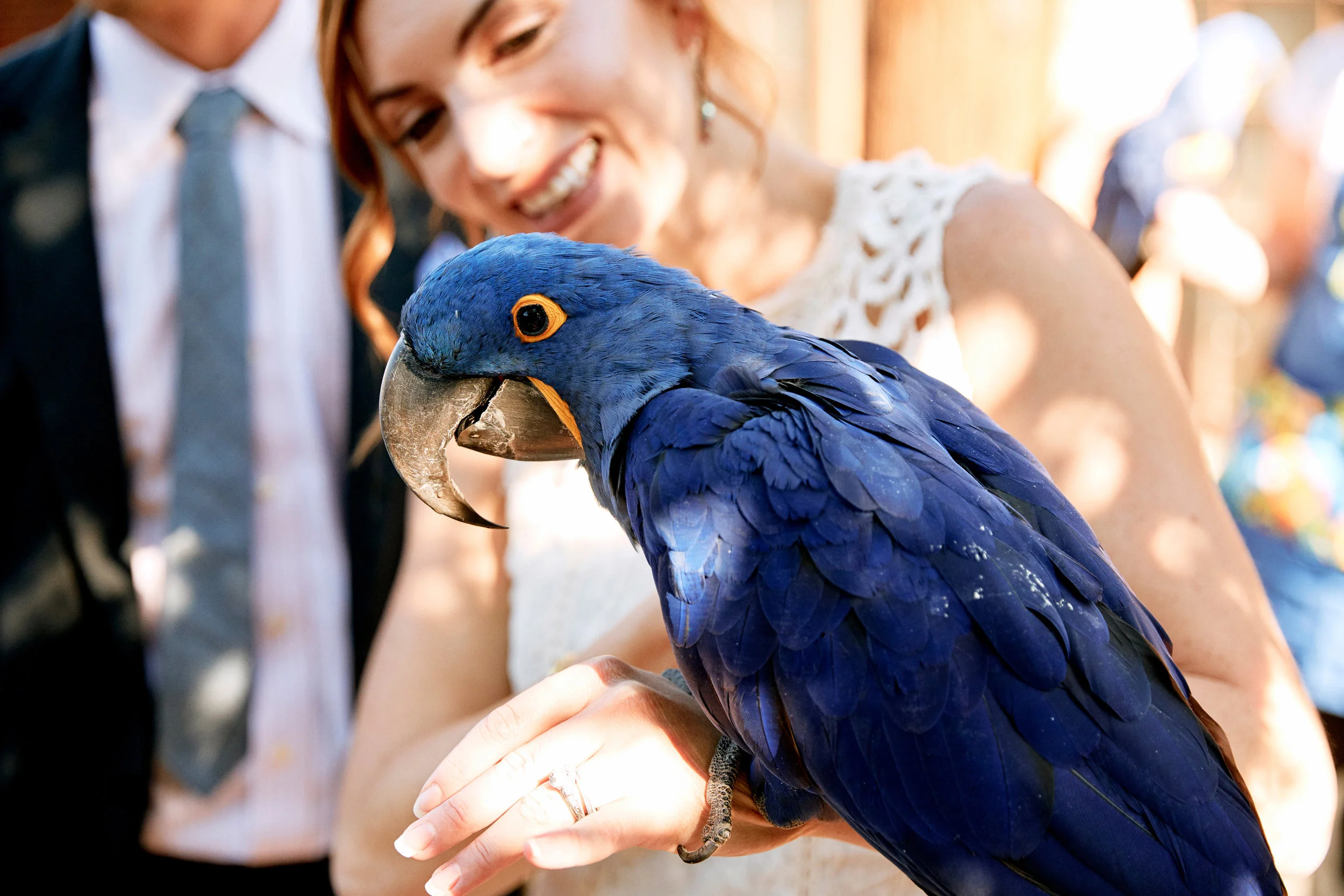 161003-gavinsarah-wedding-302.jpg