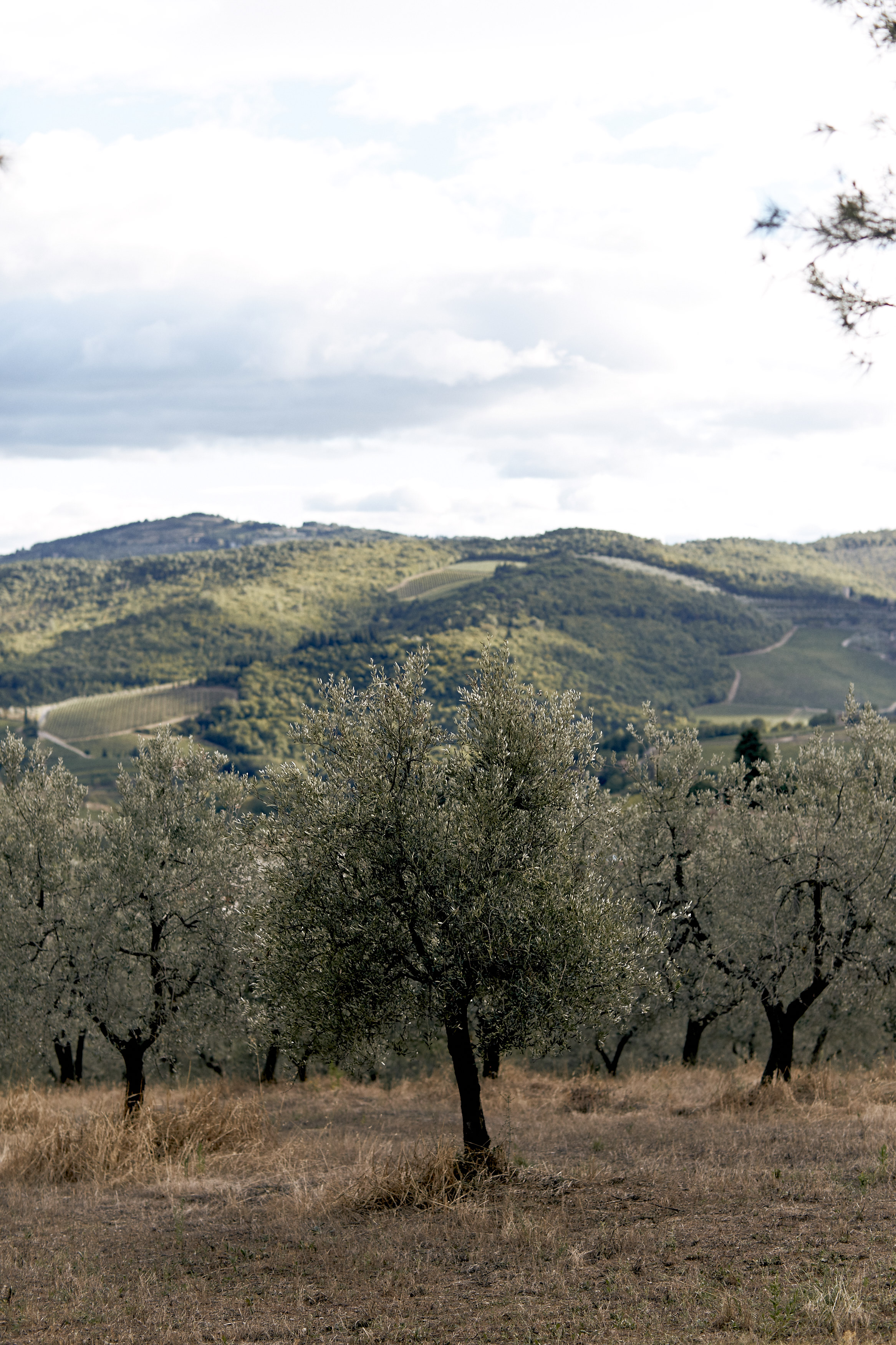 140901-marcusemily-082.jpg