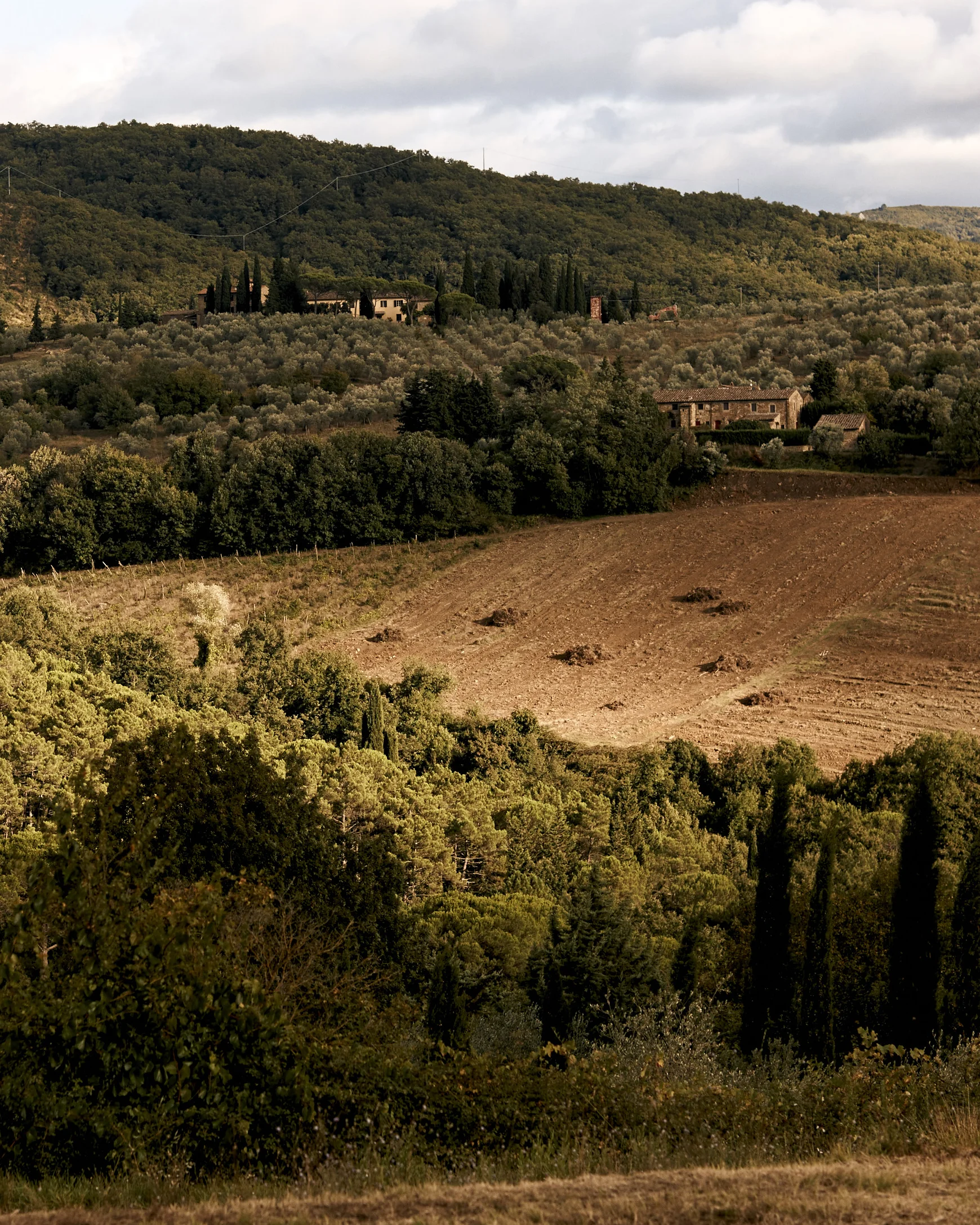 140901-marcusemily-180.jpg