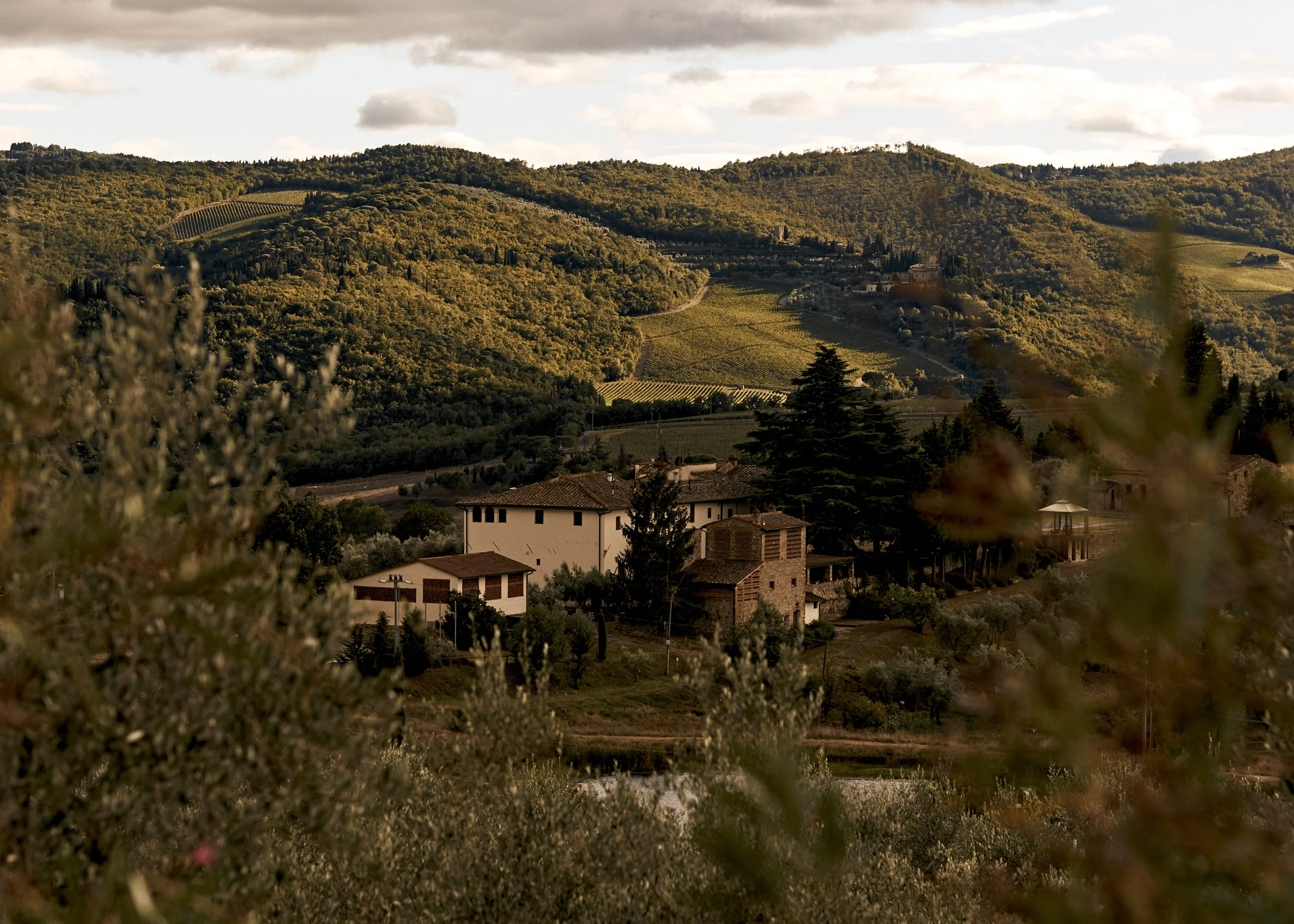 140901-marcusemily-182.jpg