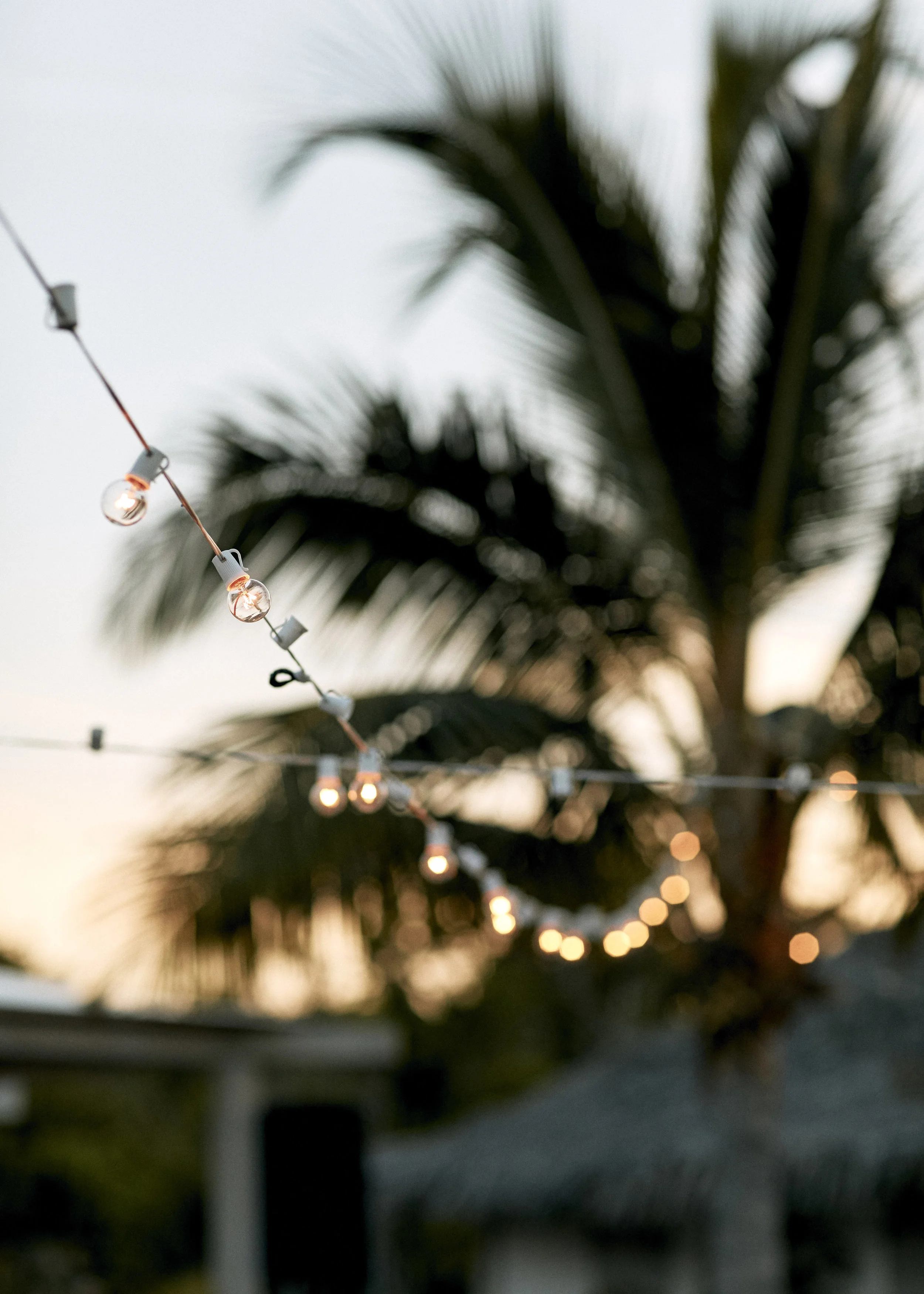 nickfayweddings-petersteph-thurs-229.JPG