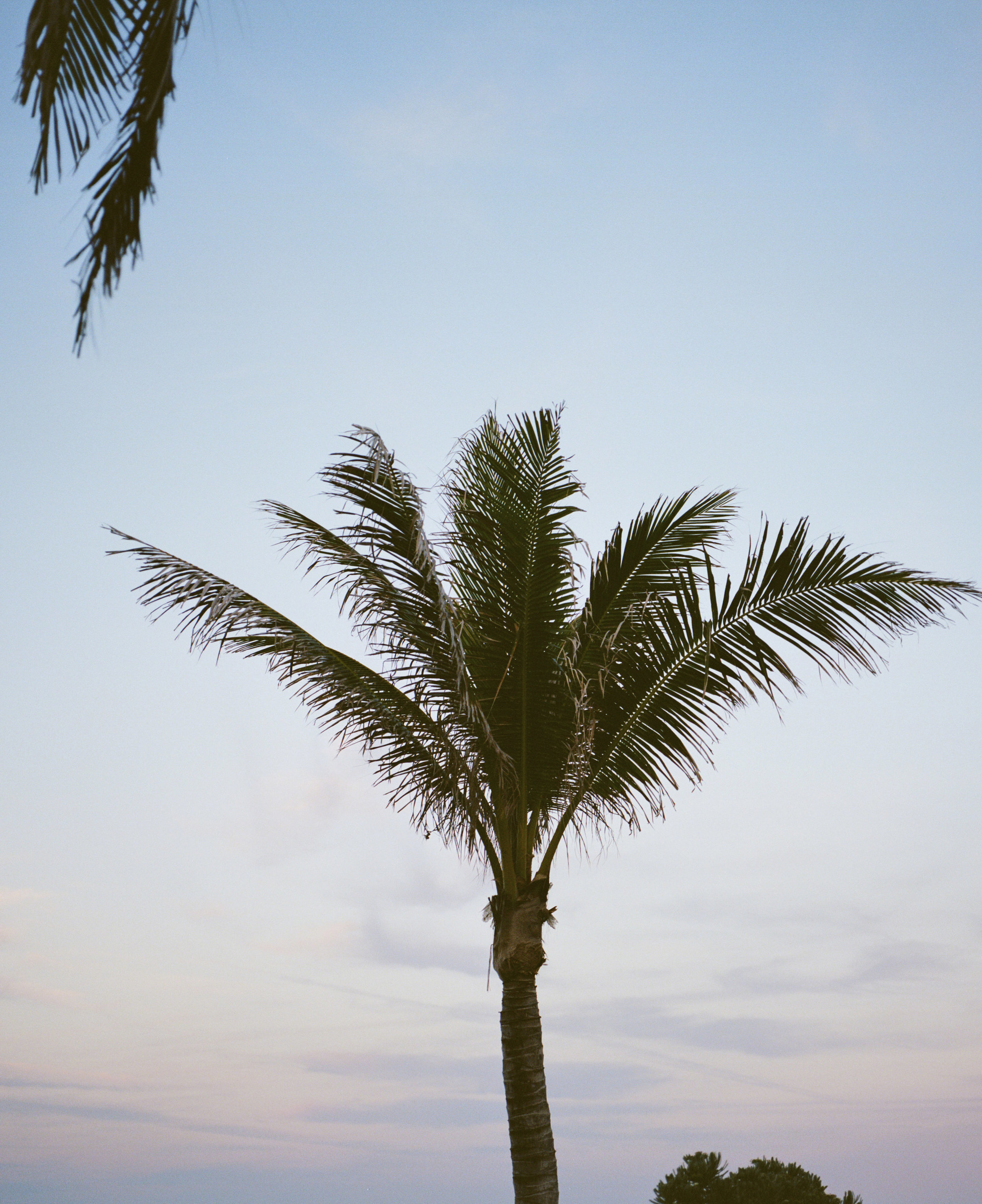nickfayweddings-petersteph-fri-205.JPG