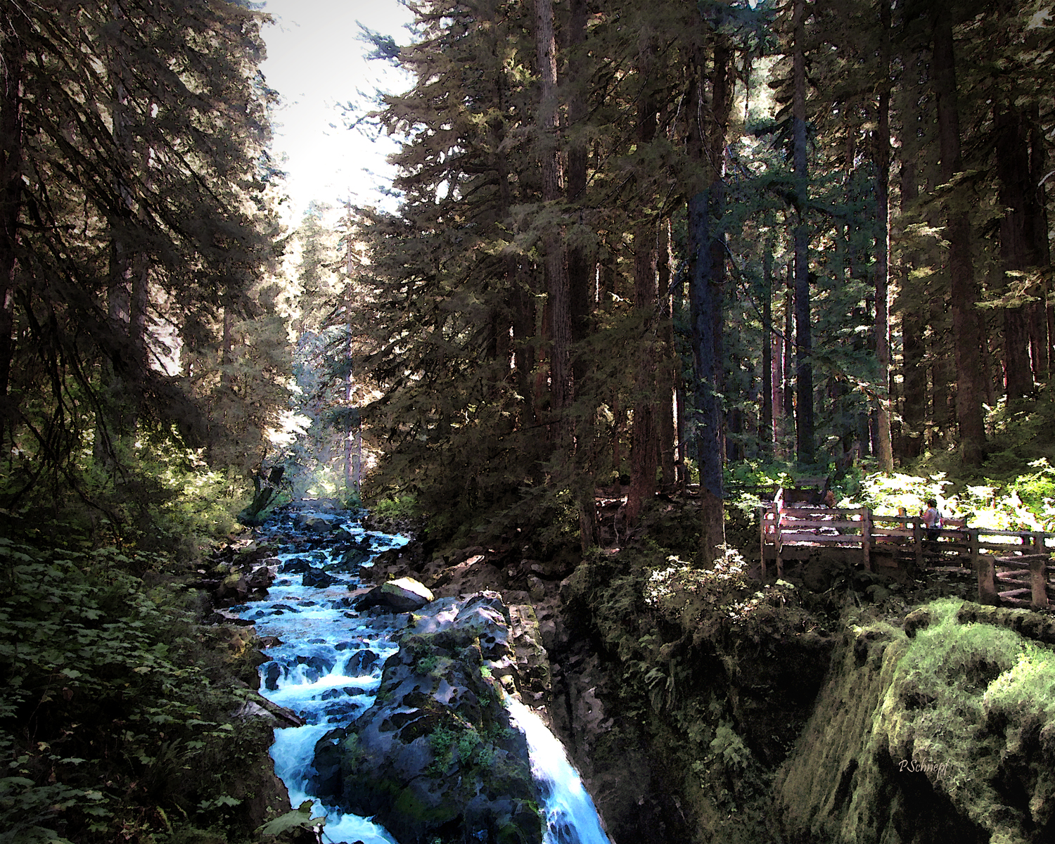 Sol Duc Falls