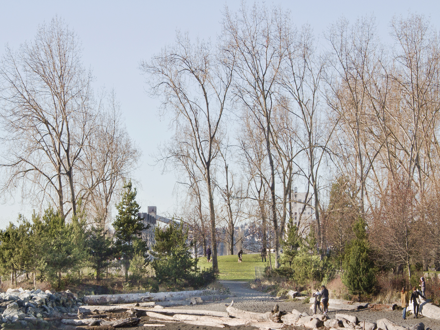 Beach and Park by Puget Sound, Seattle