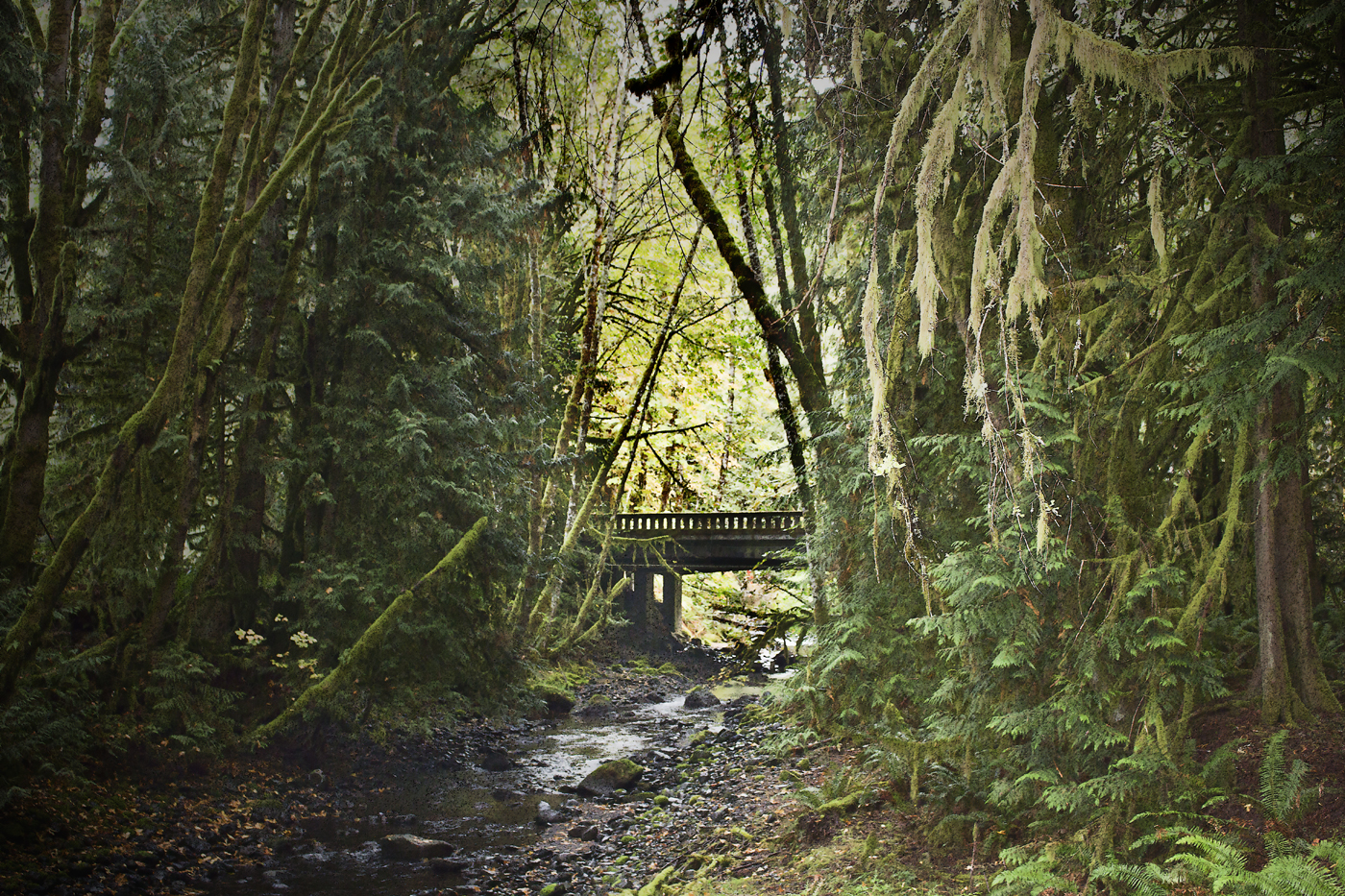 Bridge Across A Creek