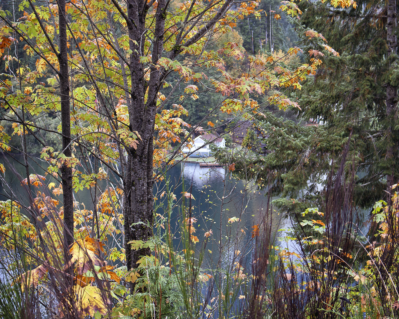 Early Autumn by the Lake