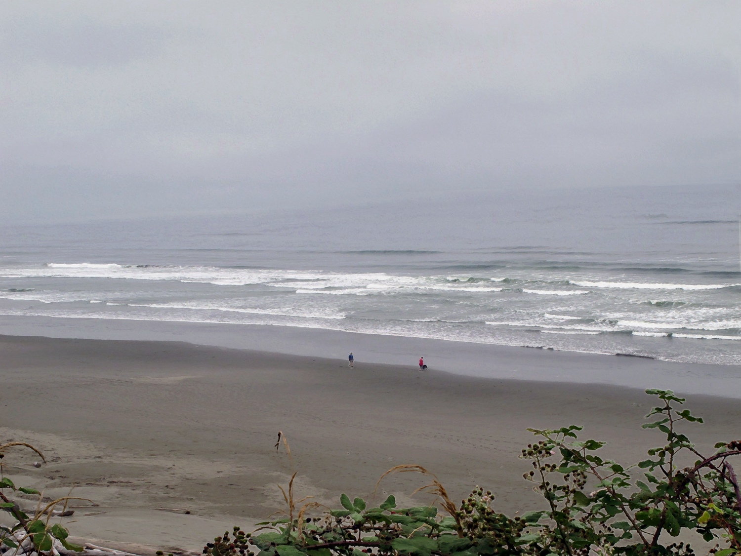 A Walk Along the Shore