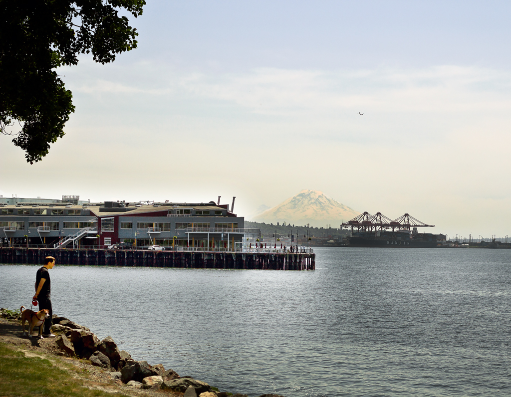 Afternoon Stroll by Puget Sound