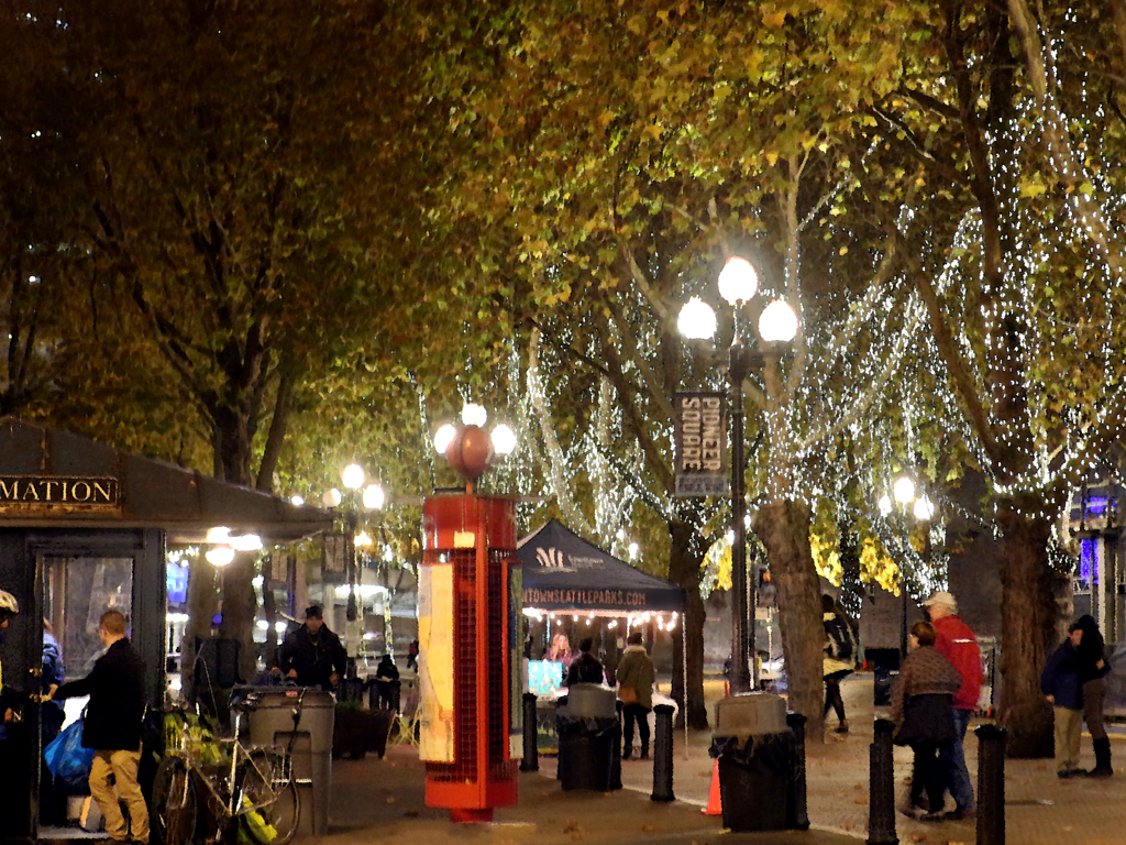 November in Seattle - Occidental Park