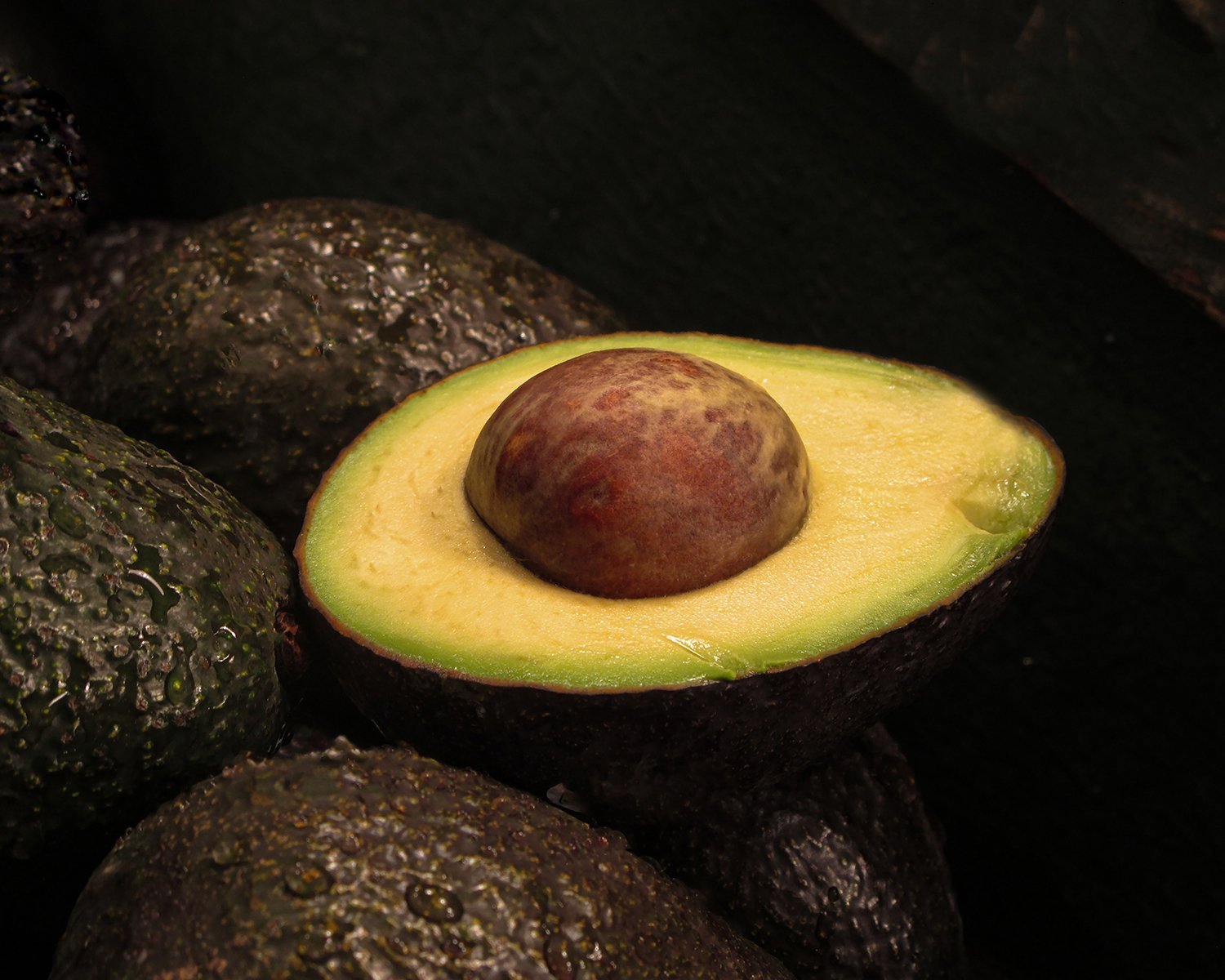 The Avacado