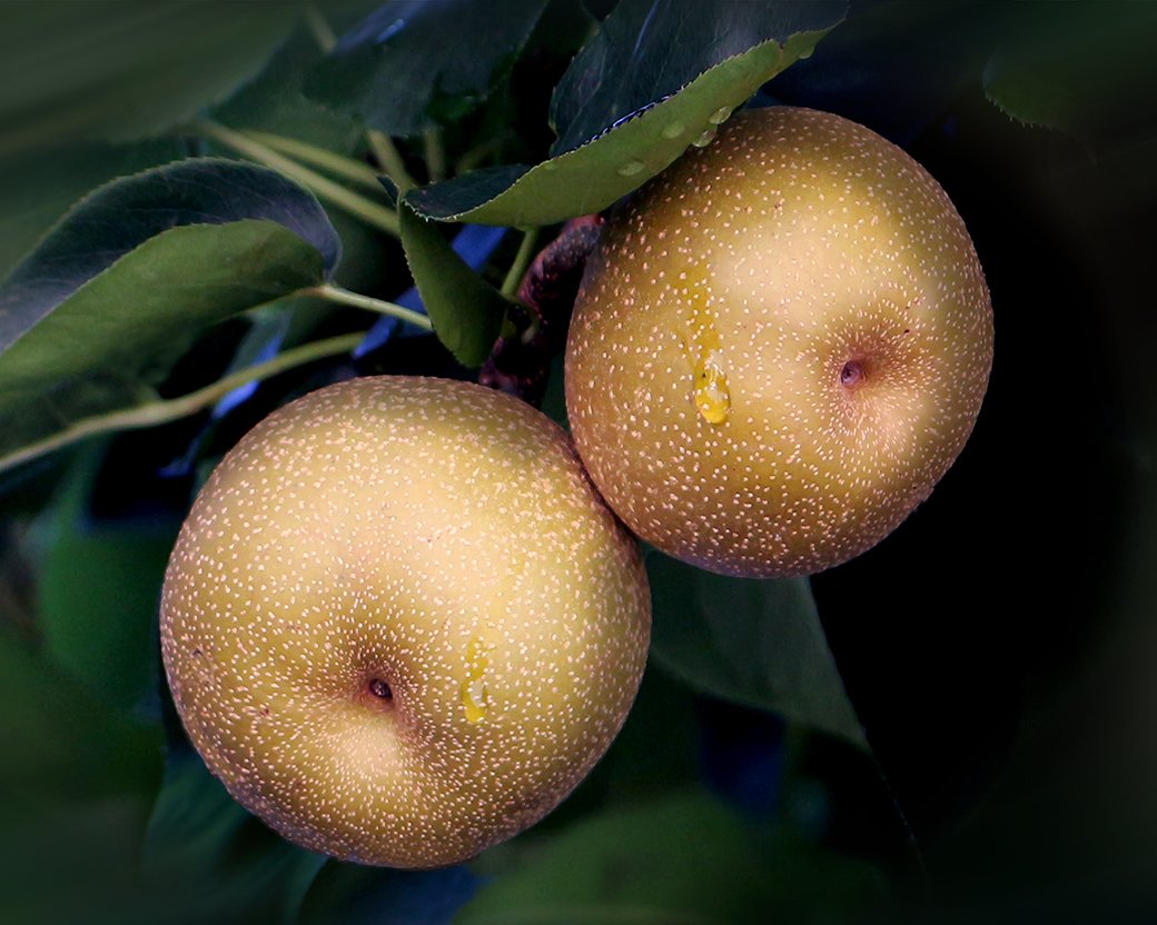 Pears