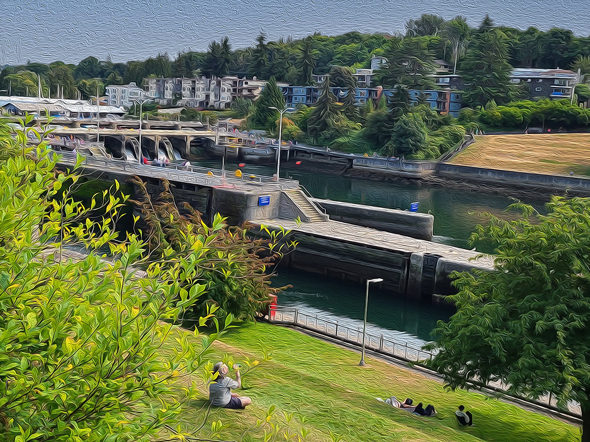 The Hill of Ballard Locks