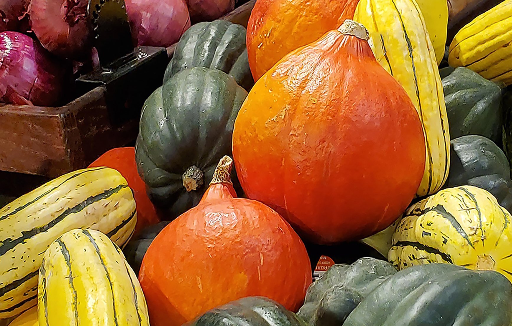 Gourds and Red Onions