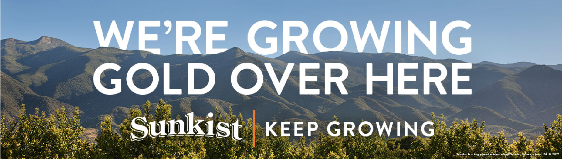 Screen Shot 2017-09-20 at 8.25.34 AM.png