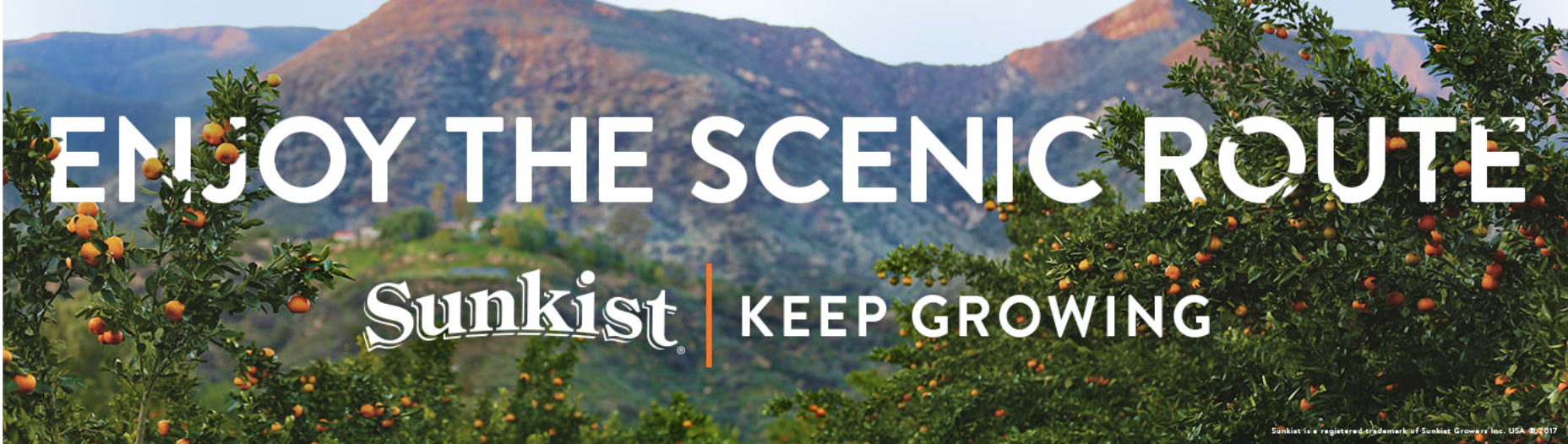 Screen Shot 2017-09-20 at 8.25.07 AM.png