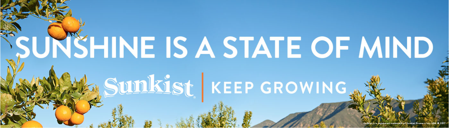 Screen Shot 2017-09-20 at 8.25.52 AM.png