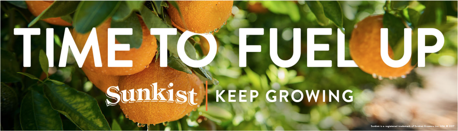 Screen Shot 2017-09-20 at 8.38.07 AM.png