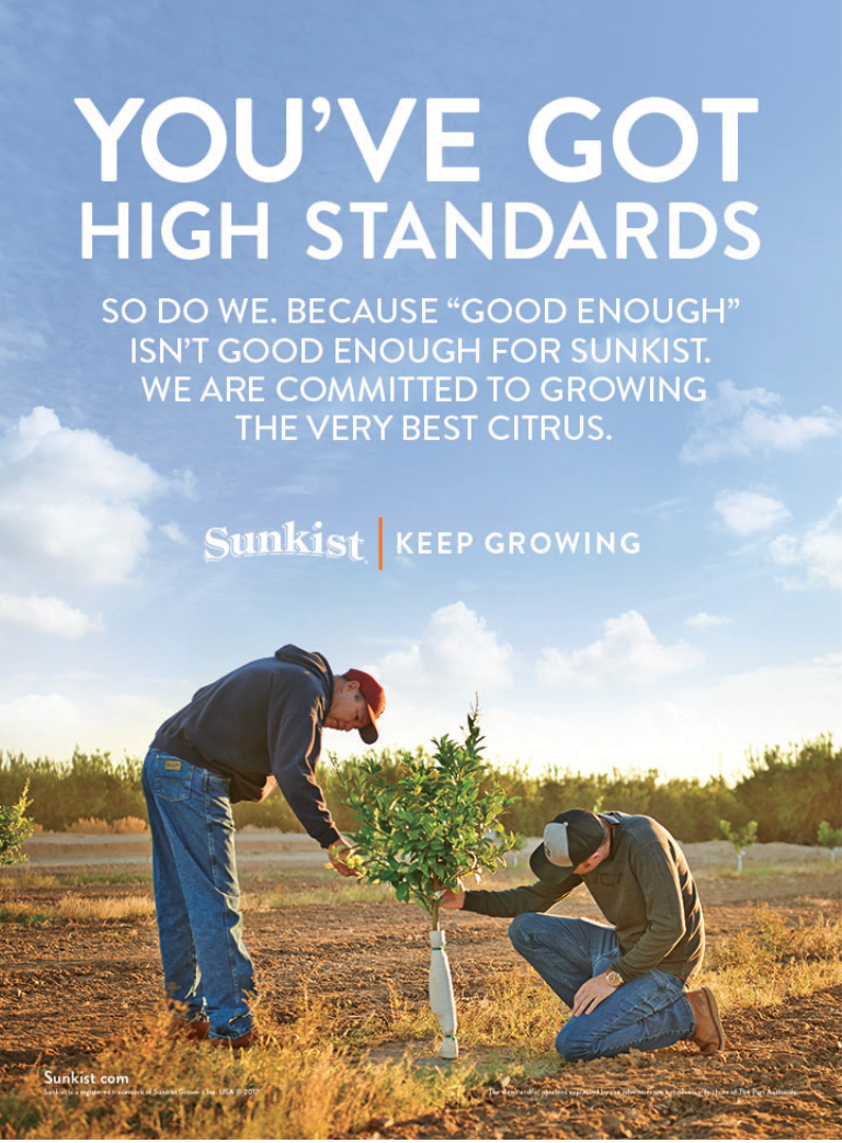 Screen Shot 2017-09-20 at 8.27.06 AM.png