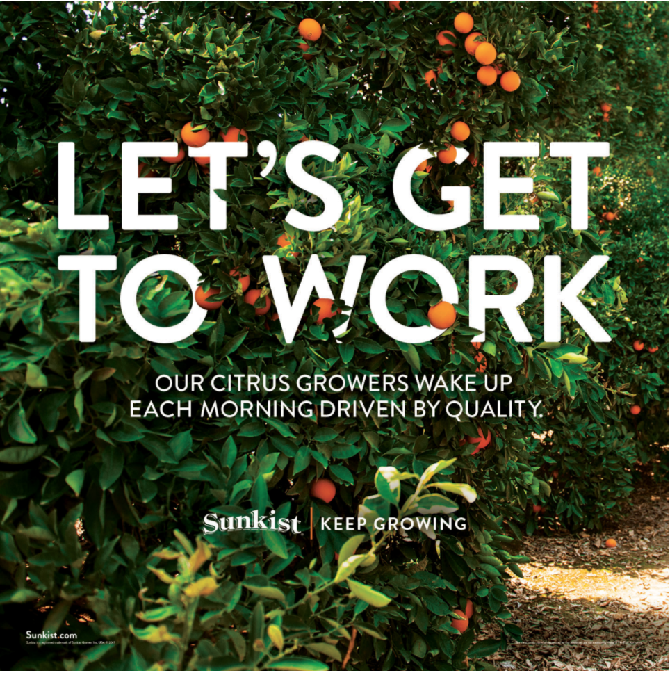 Screen Shot 2017-09-20 at 8.26.47 AM.png