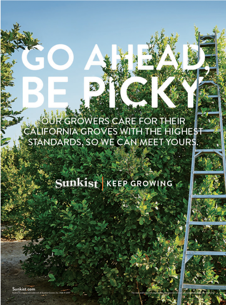 Screen Shot 2017-09-20 at 8.27.40 AM.png