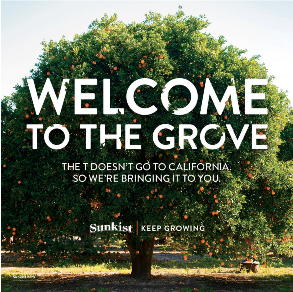 Screen Shot 2017-09-20 at 8.29.20 AM.png