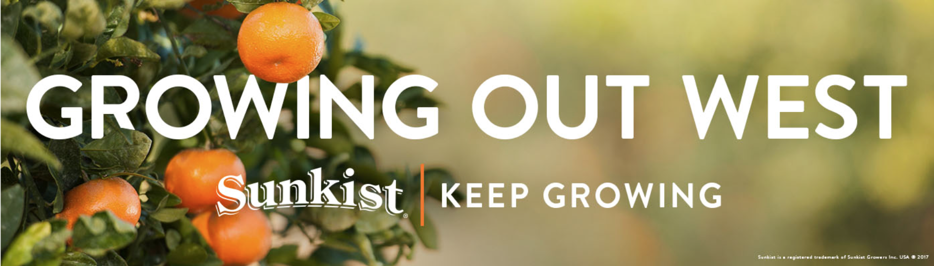 Screen Shot 2017-09-20 at 8.24.47 AM.png