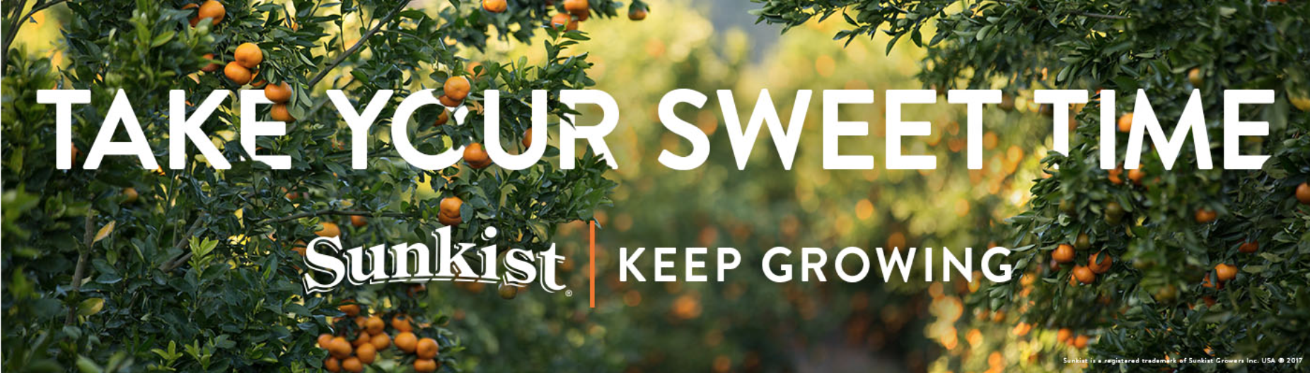 Screen Shot 2017-09-20 at 8.24.30 AM.png