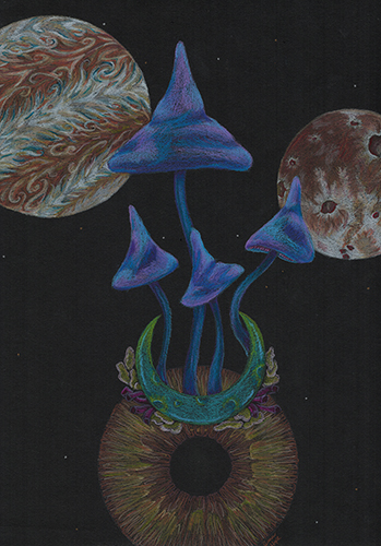 Universe Grows