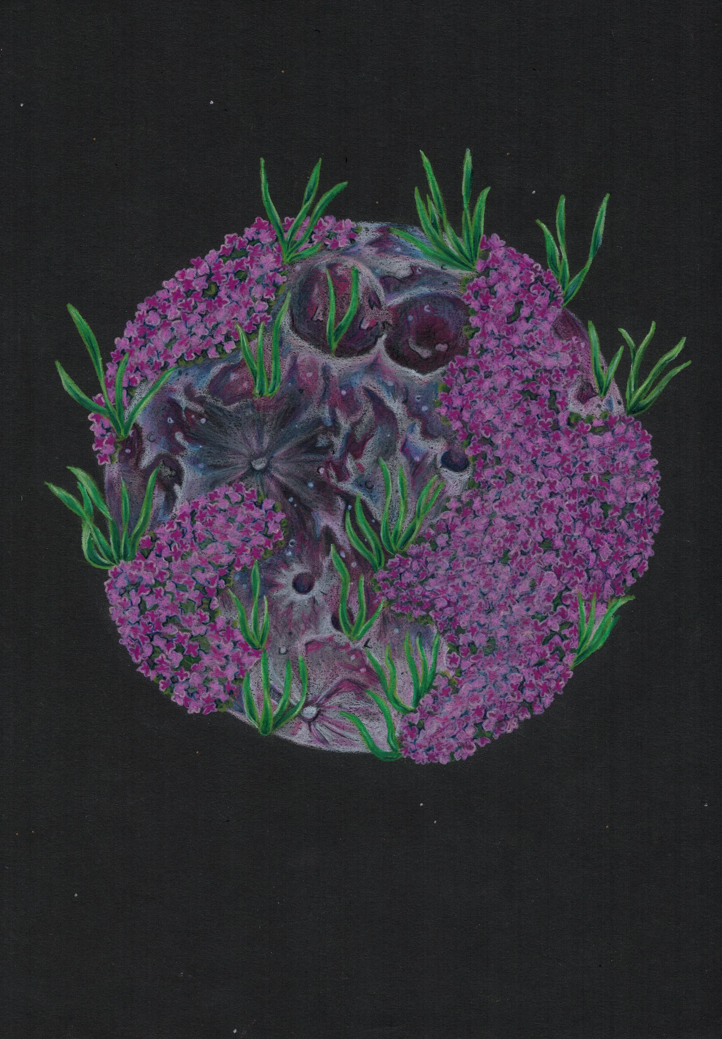 Pink Full Moon (April)