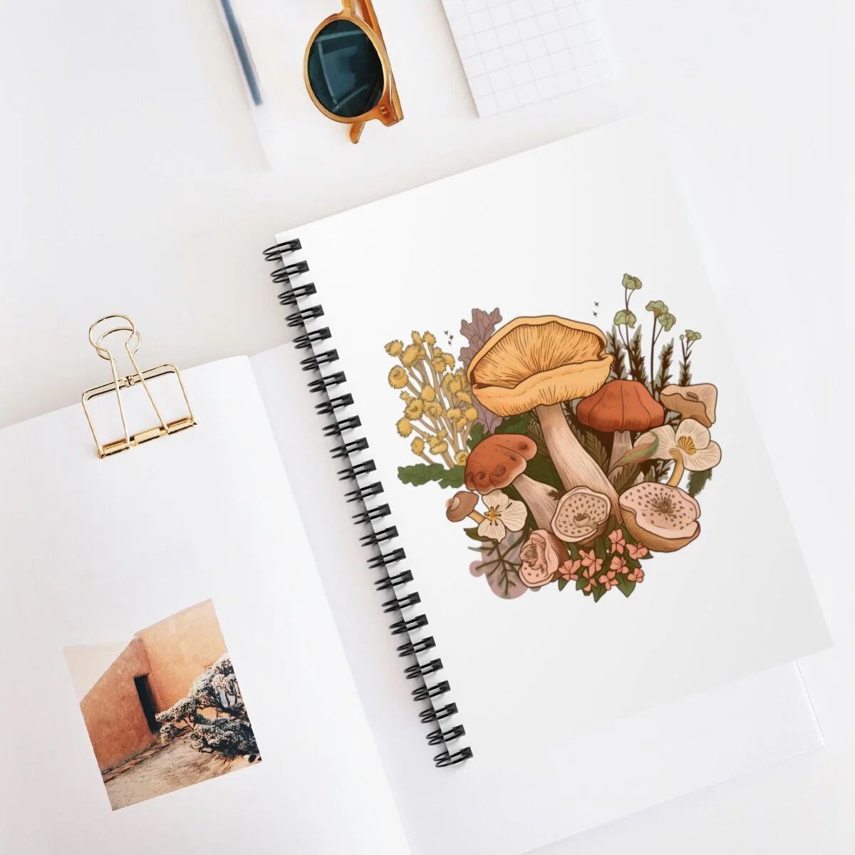 b22d6f36cb4fcc6f39724e7c6d99f498