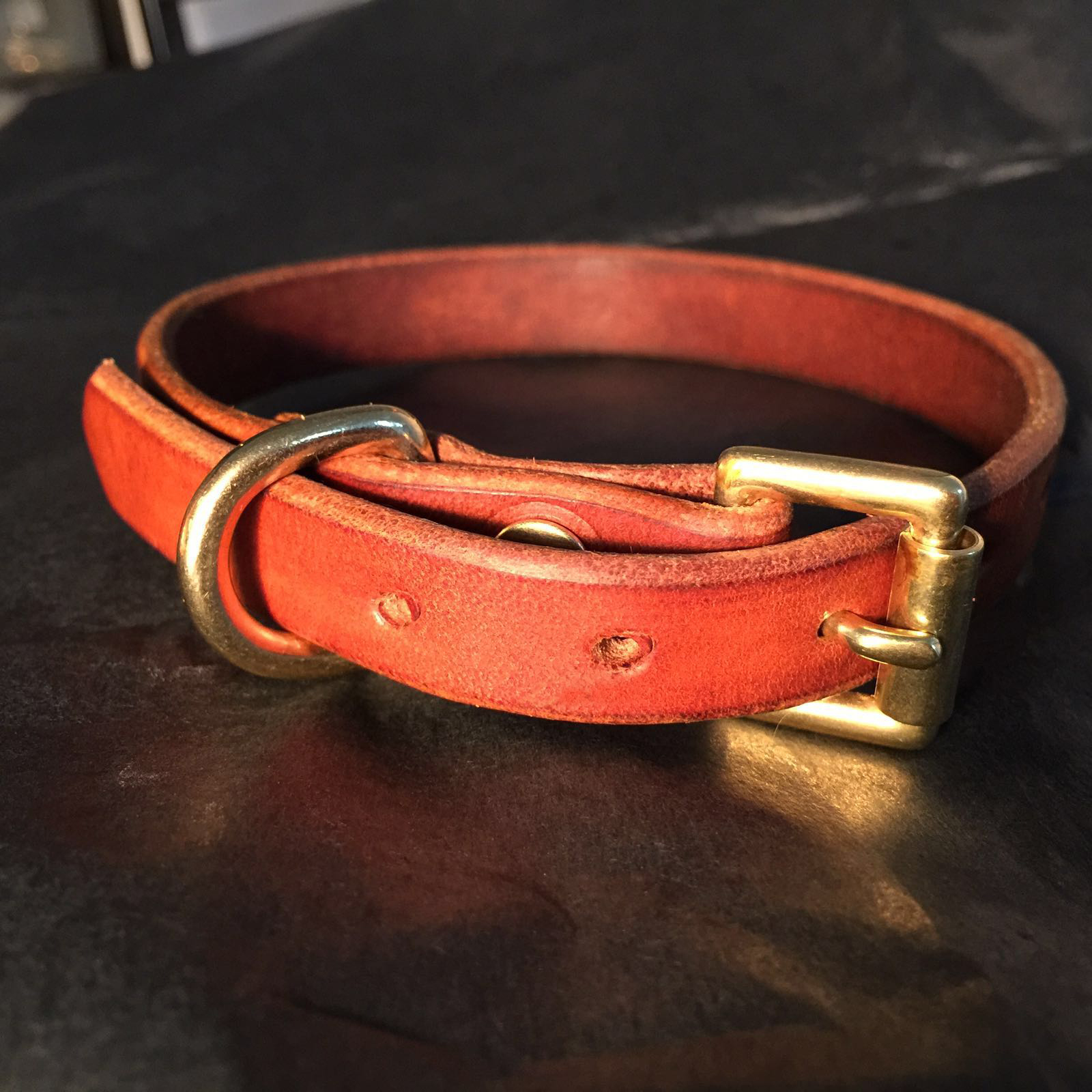 FizzArrow Dog collar 4.jpg