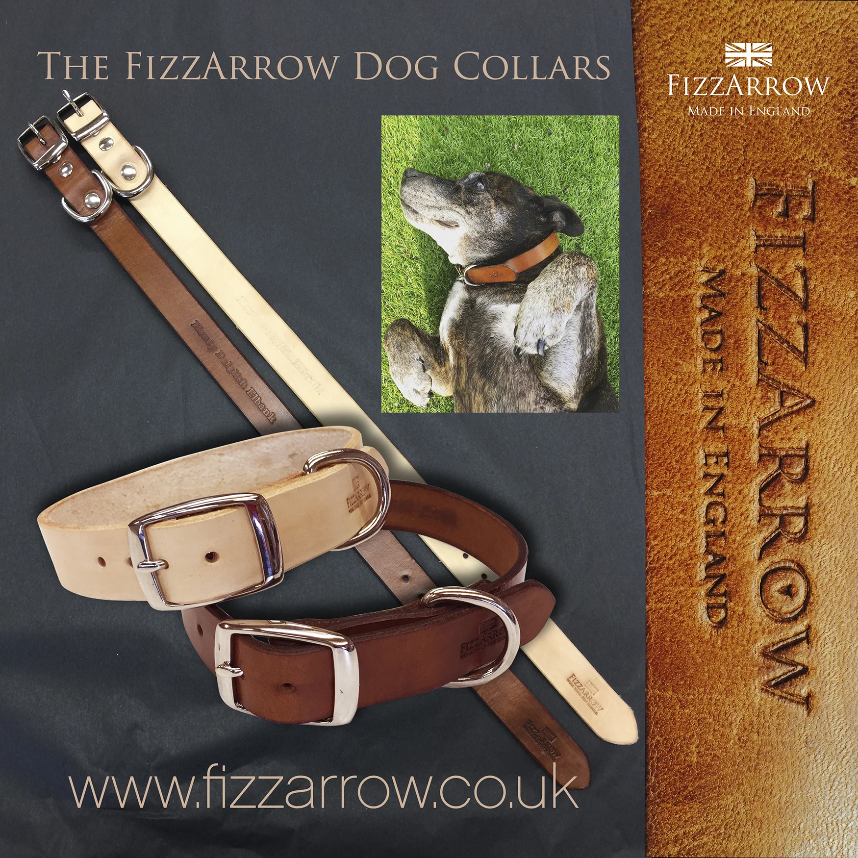 FizzArrow Dog Collars sm.jpg