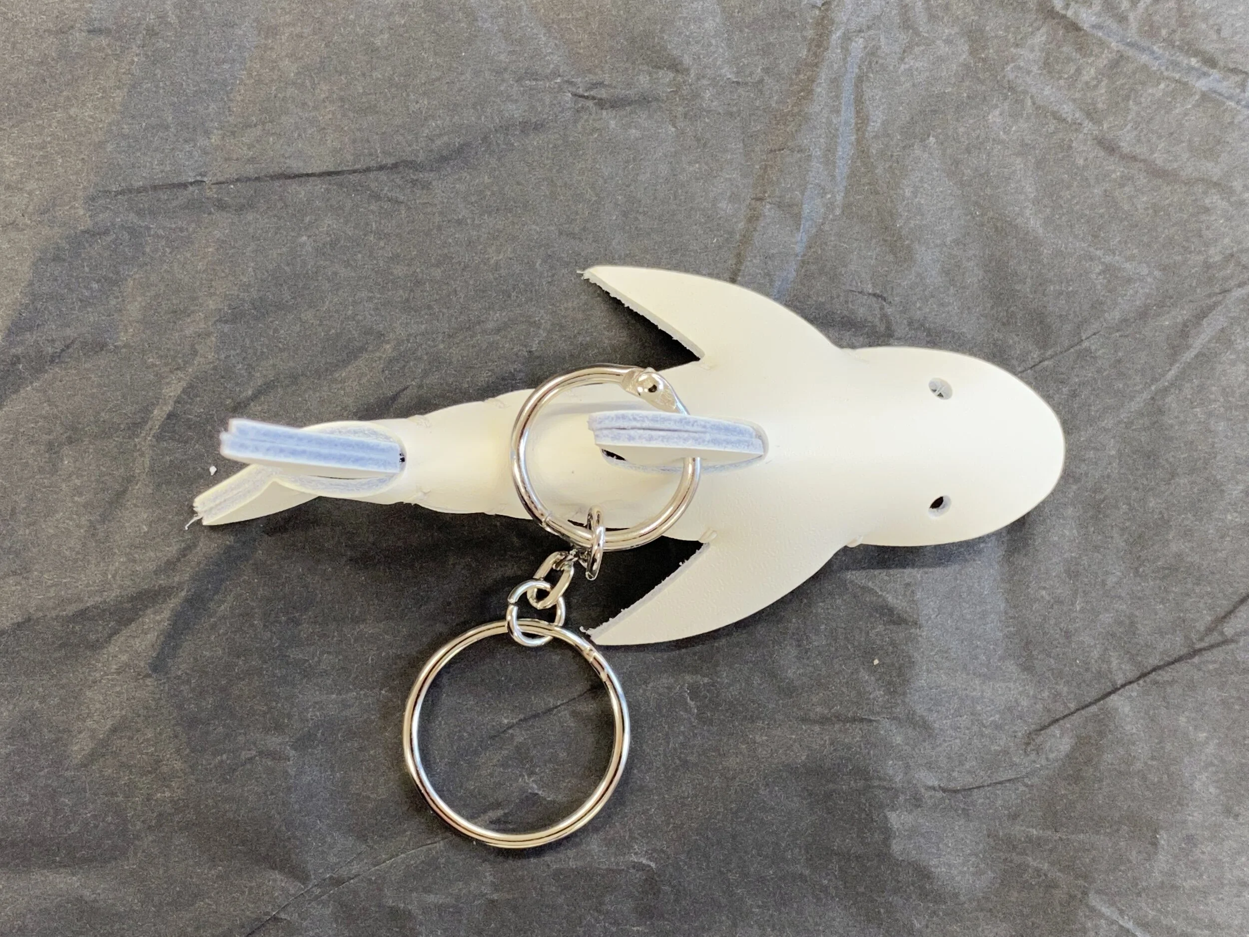 Fizz Sharkie white - 2.jpeg
